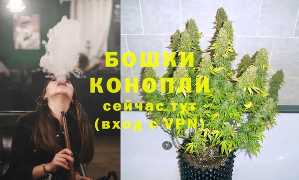 ГАЛЛЮЦИНОГЕННЫЕ ГРИБЫ Горнозаводск