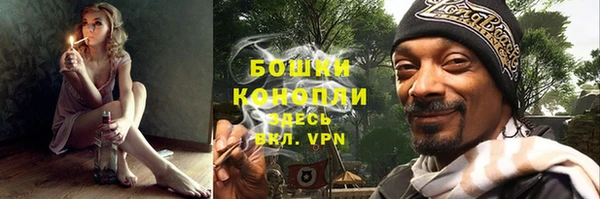ГАЛЛЮЦИНОГЕННЫЕ ГРИБЫ Горнозаводск