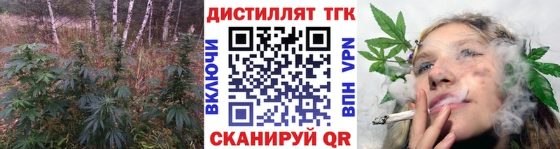 Купить закладки  Гатчина  Дистиллят ТГК Wax 